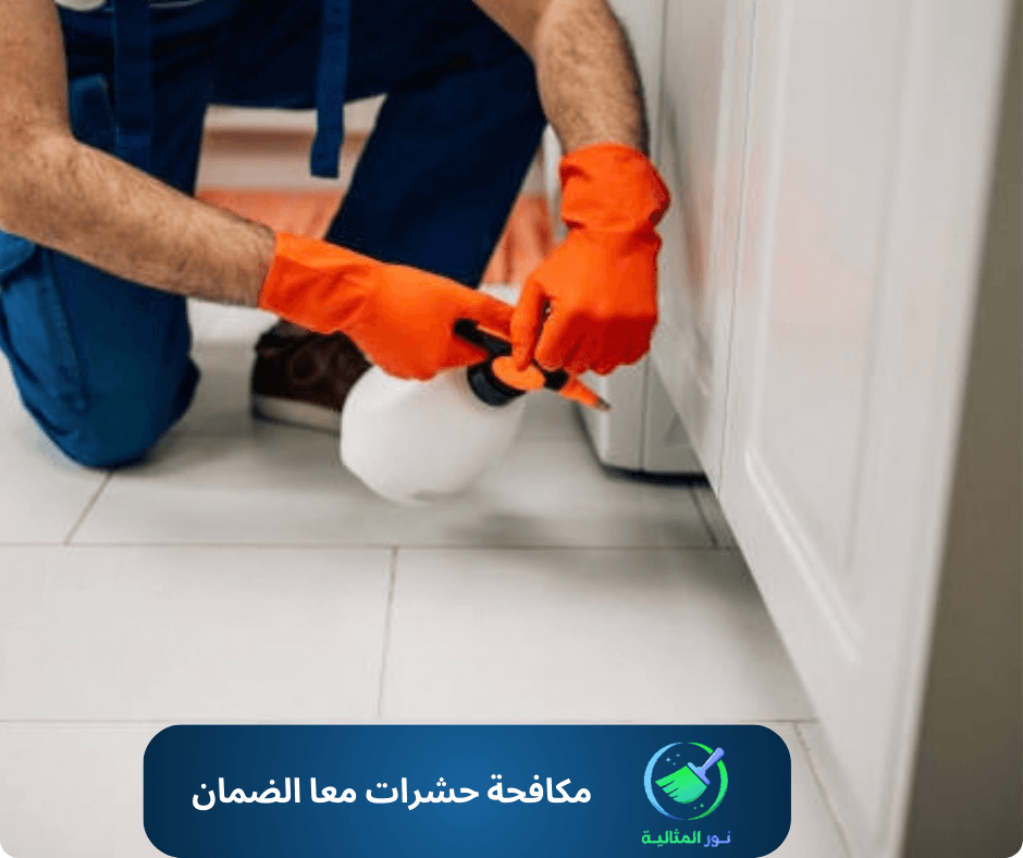 أفضل شركة مكافحة حشرات مع الضمان بالاحساء 