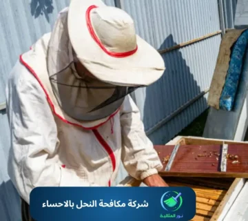 شركة مكافحة النحل بالاحساء