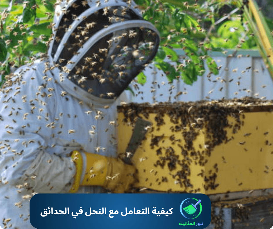 كيفية التعامل مع النحل في الحدائق