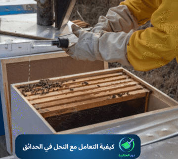 كيفية التعامل مع النحل في الحدائق