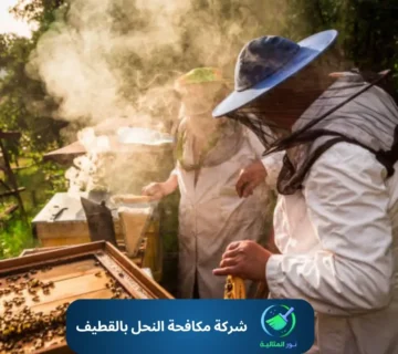 شركة مكافحة النحل بالقطيف