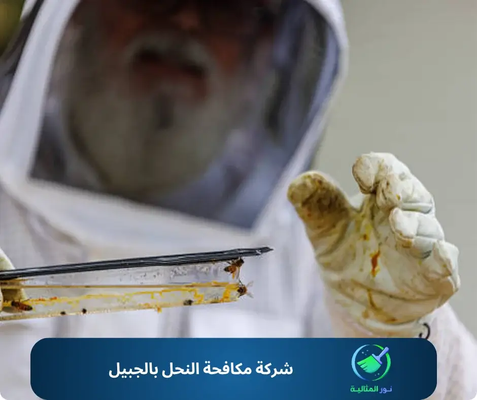 شركة مكافحة النحل بالجبيل