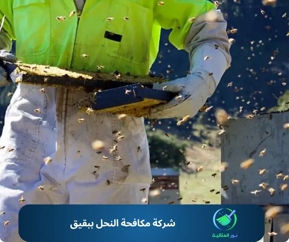 شركة مكافحة النحل ببقيق