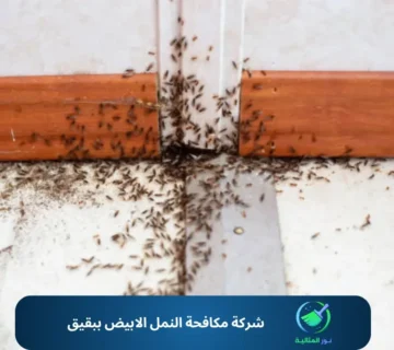 شركة مكافحة النمل الابيض ببقيق