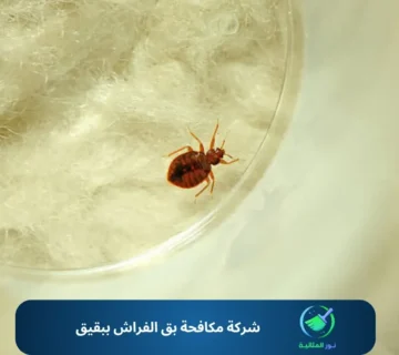 شركة مكافحة بق الفراش ببقيق