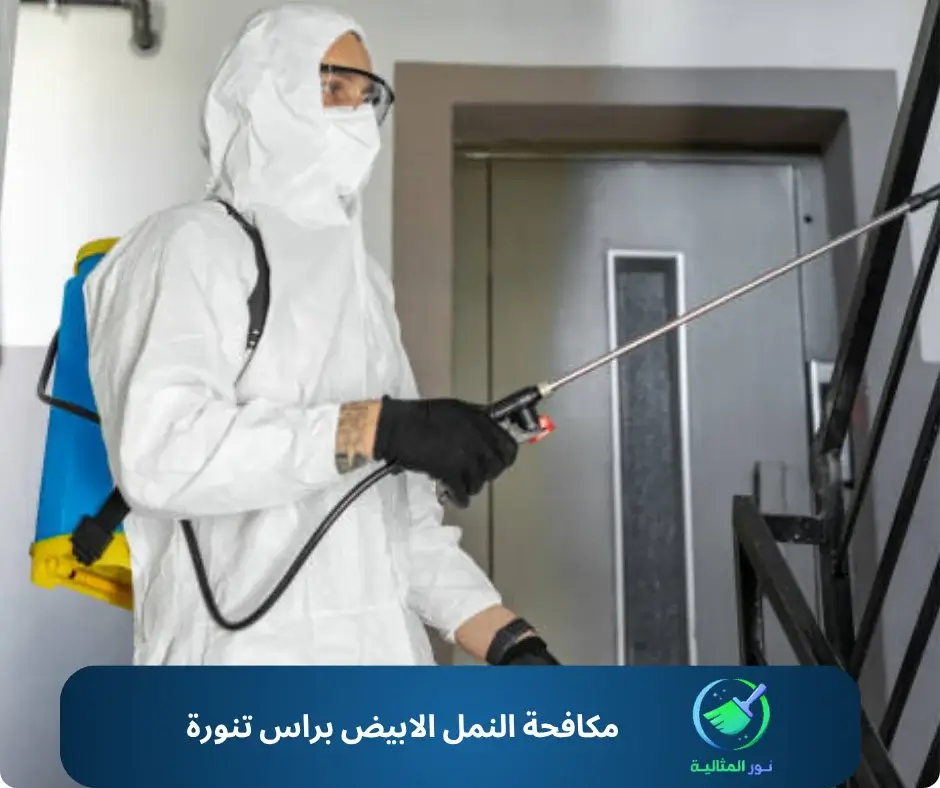 مكافحة النمل الابيض براس تنورة 