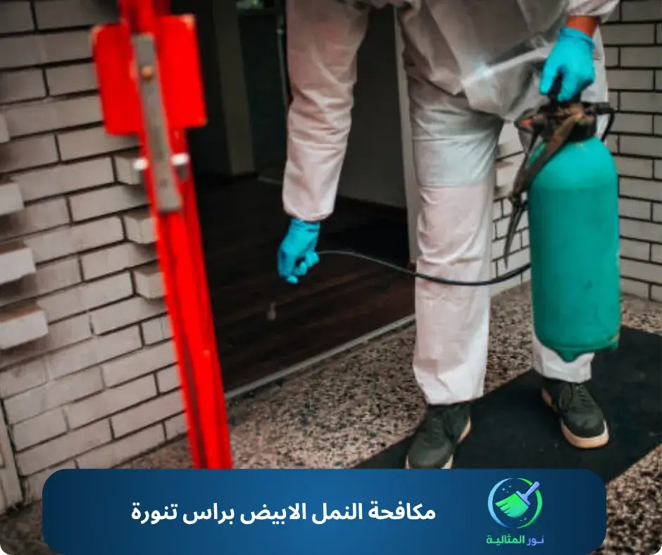 مكافحة النمل الابيض براس تنورة