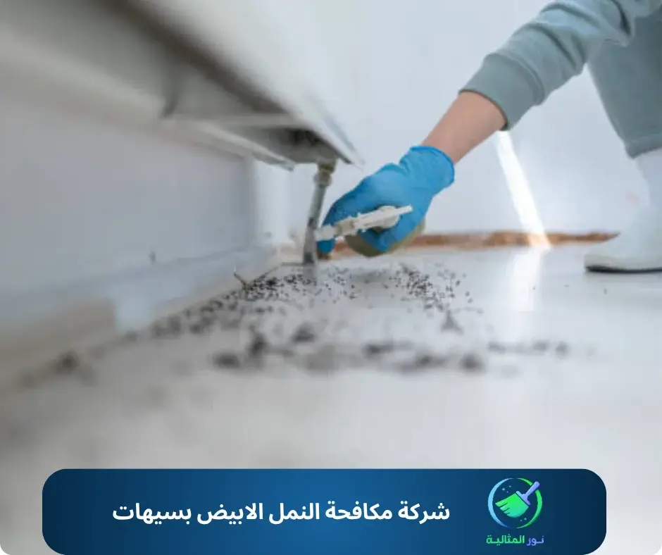 شركة مكافحة النمل الابيض بسيهات