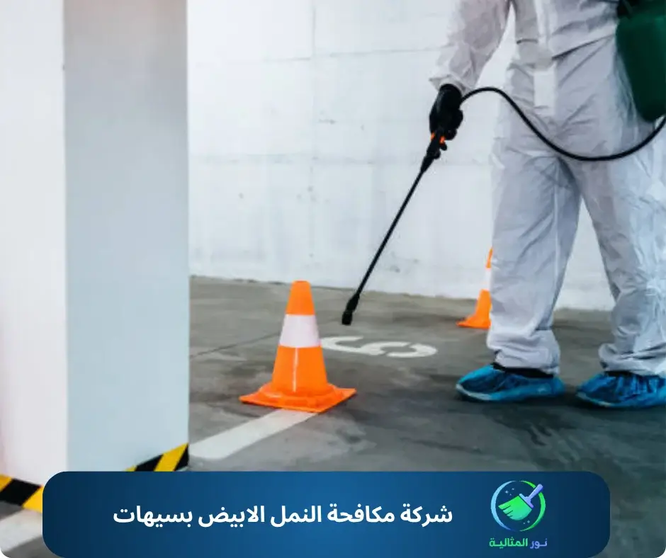 شركة مكافحة النمل الابيض بسيهات
