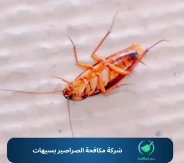 شركة مكافحة الصراصير بسيهات