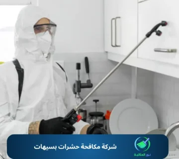 شركة مكافحة حشرات بسيهات
