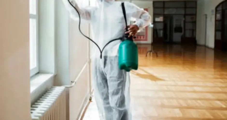 شركة مكافحة النمل الابيض بالنعيرية