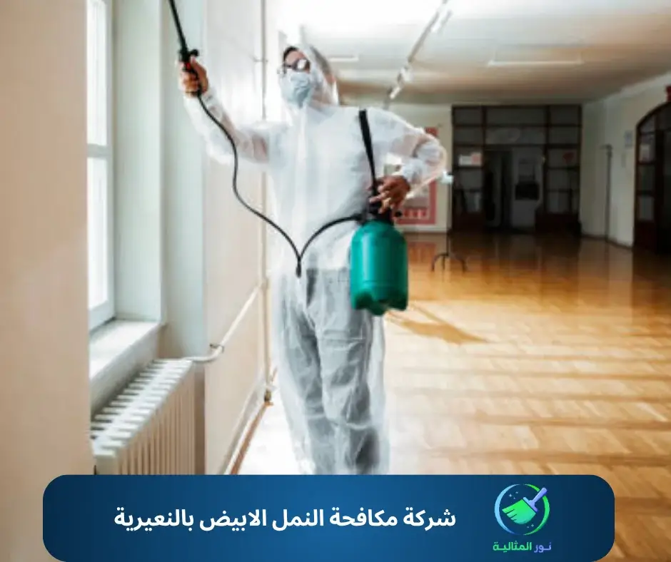 شركة مكافحة النمل الابيض بالنعيرية