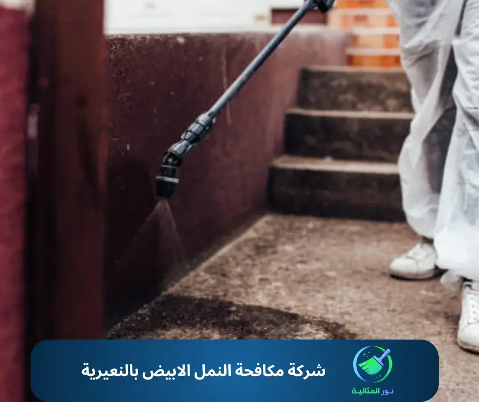 شركة مكافحة النمل الابيض بالنعيرية