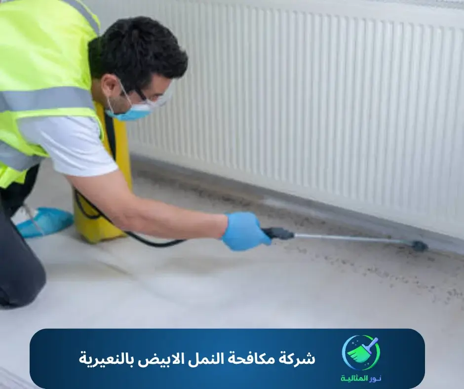 شركة مكافحة النمل الابيض بالنعيرية