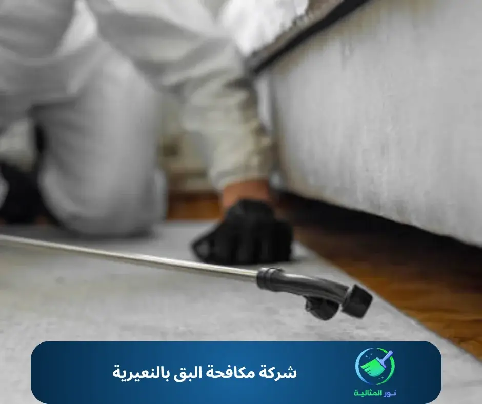 شركة مكافحة البق بالنعيرية