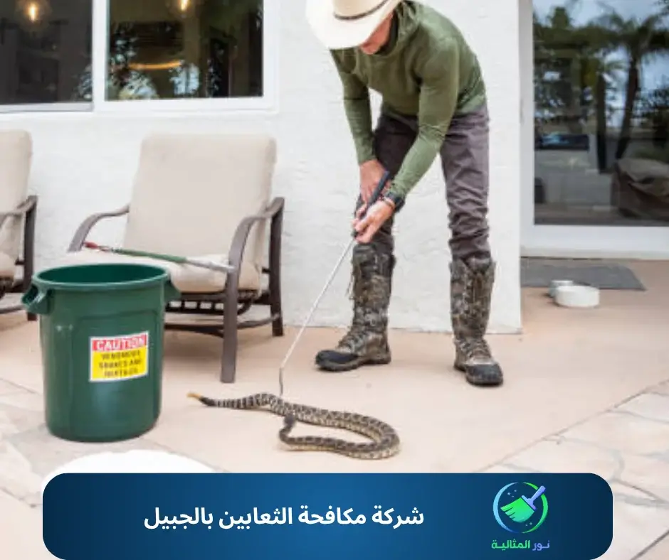 شركة مكافحة الثعابين بالجبيل