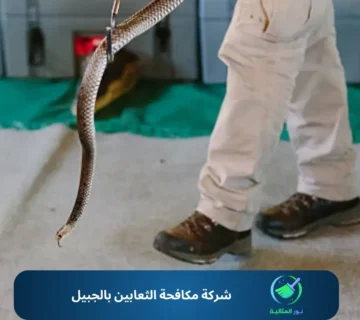 شركة مكافحة الثعابين بالجبيل