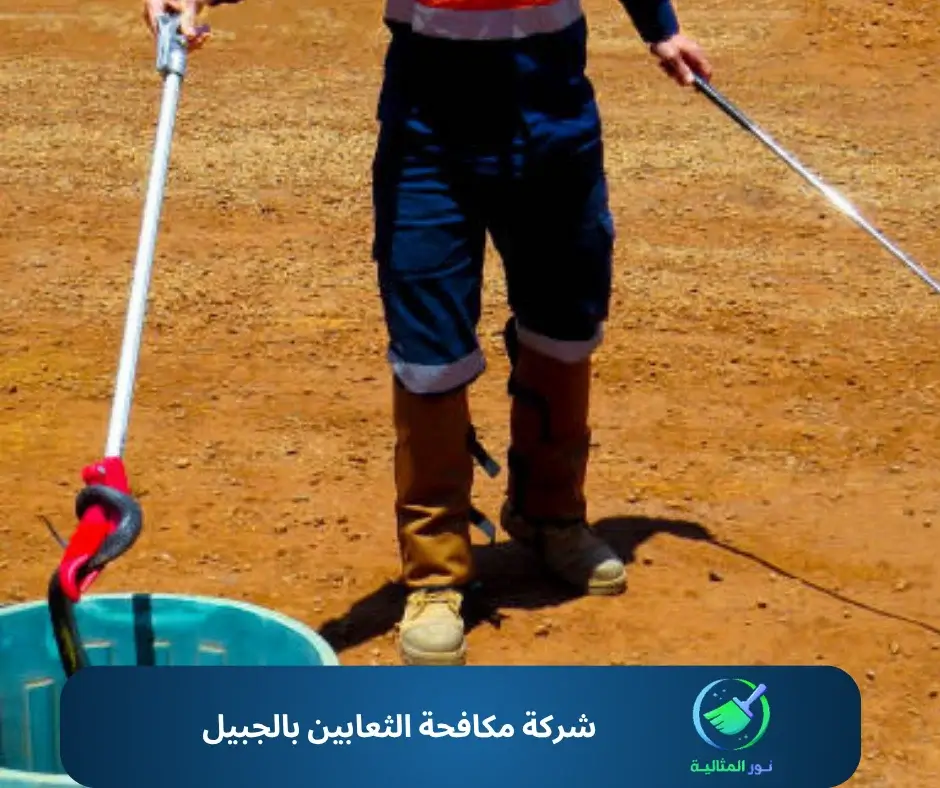شركة مكافحة الثعابين بالجبيل