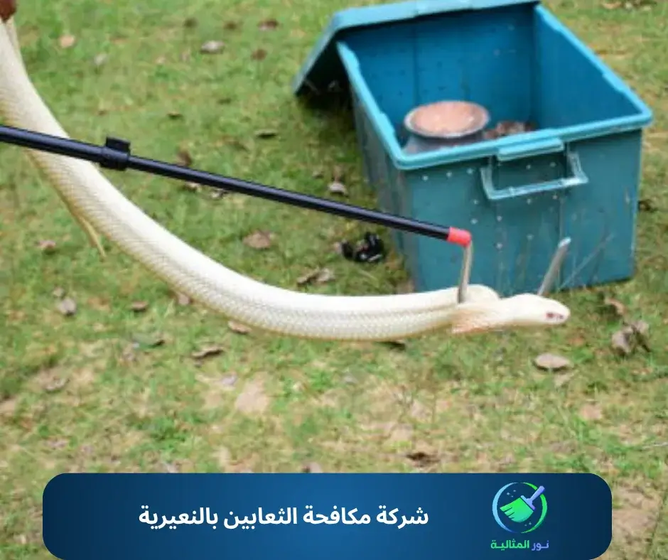شركة مكافحة الثعابين بالنعيرية