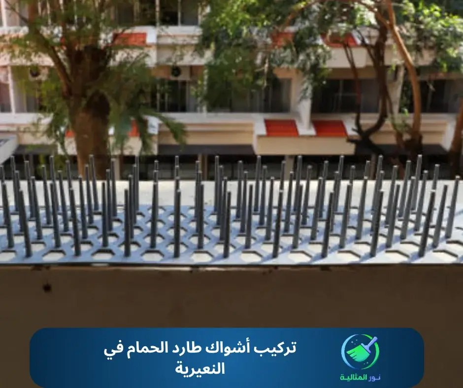 تركيب أشواك طارد الحمام في النعيرية