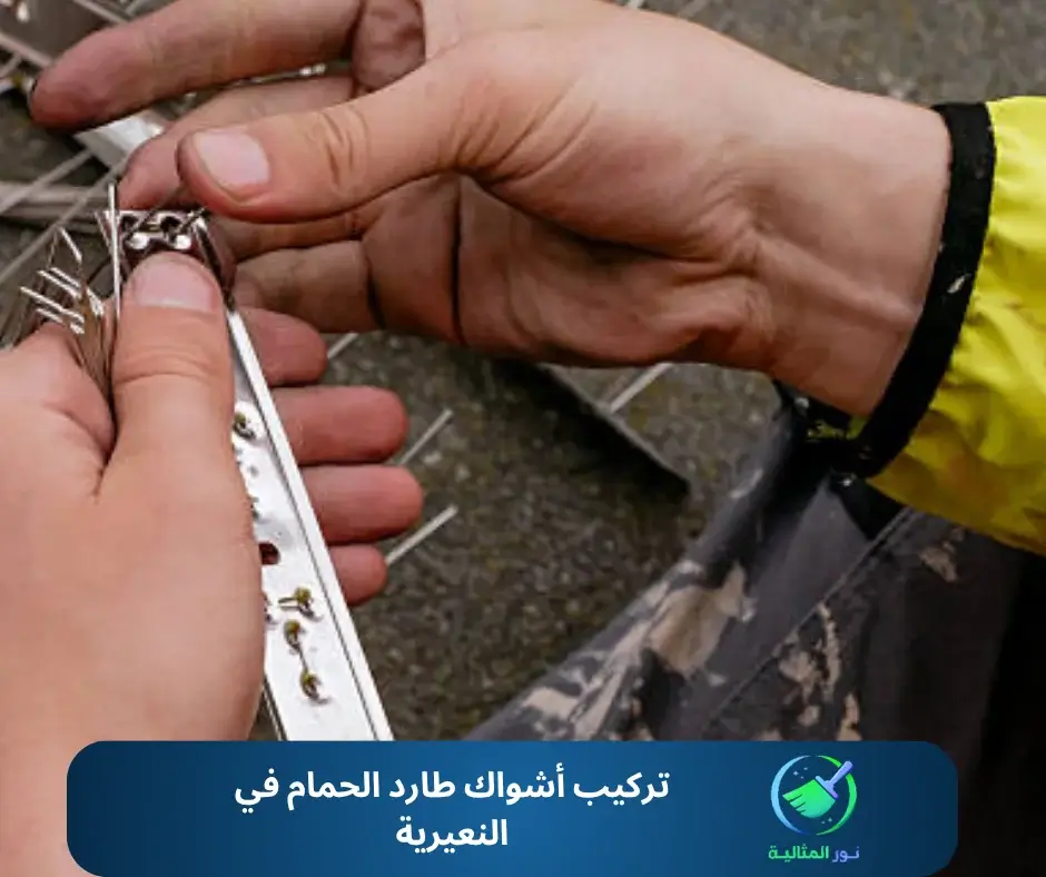 تركيب أشواك طارد الحمام في النعيرية