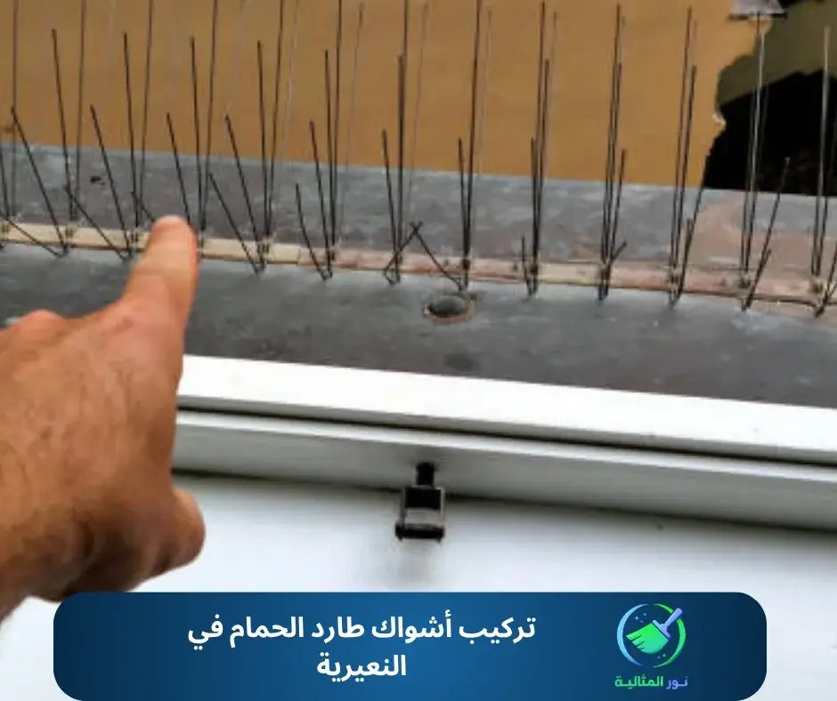 تركيب أشواك طارد الحمام في النعيرية