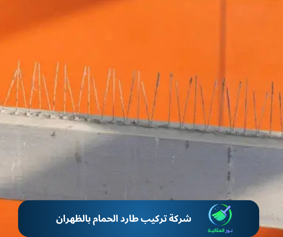 شركة تركيب طارد الحمام بالظهران