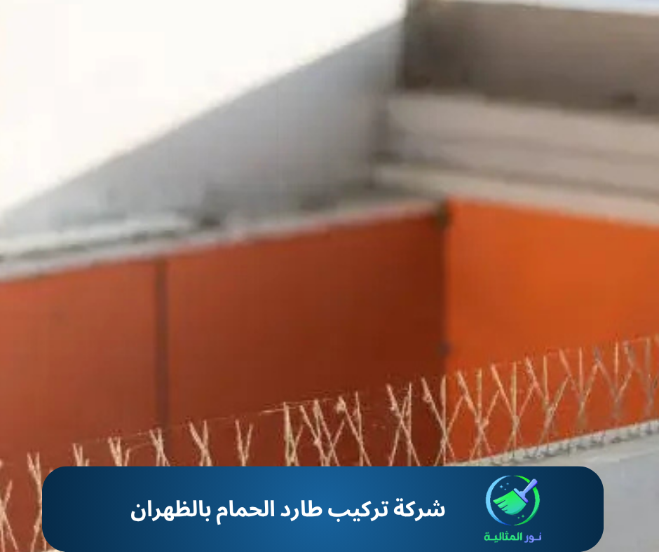 شركة تركيب طارد الحمام بالظهران