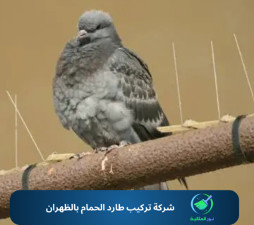 شركة تركيب طارد الحمام بالظهران