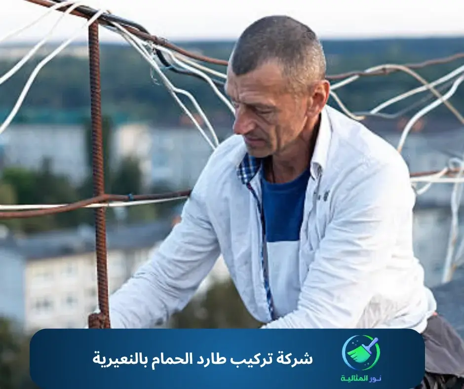 شركة تركيب طارد الحمام بالنعيرية