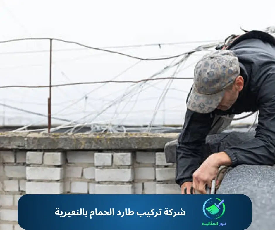 شركة تركيب طارد الحمام بالنعيرية