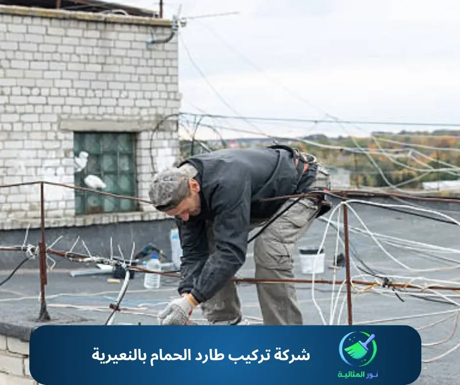 شركة تركيب طارد الحمام بالنعيرية