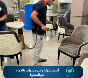 أقرب شركة رش حشرات بالدمام