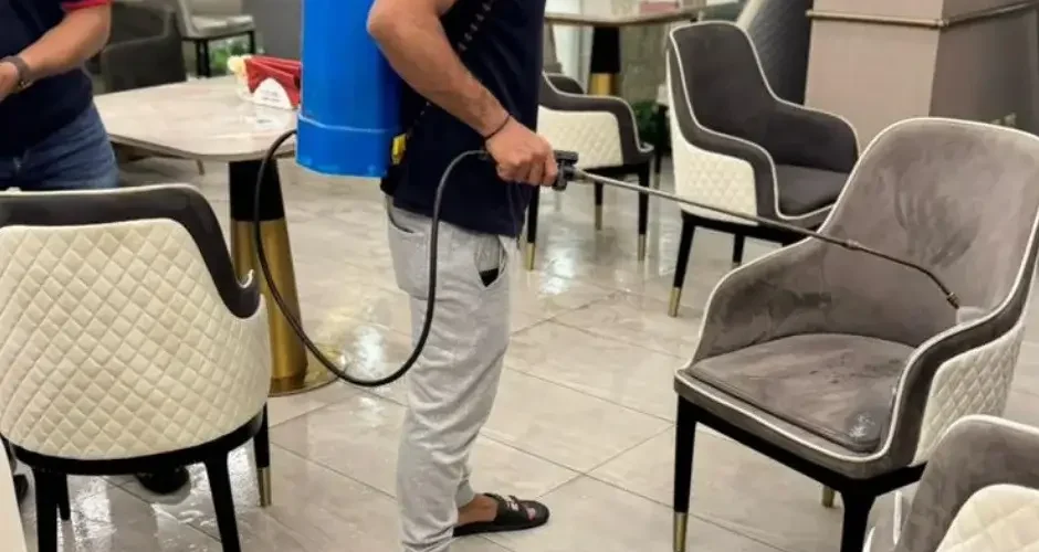 أقرب شركة رش حشرات بالدمام