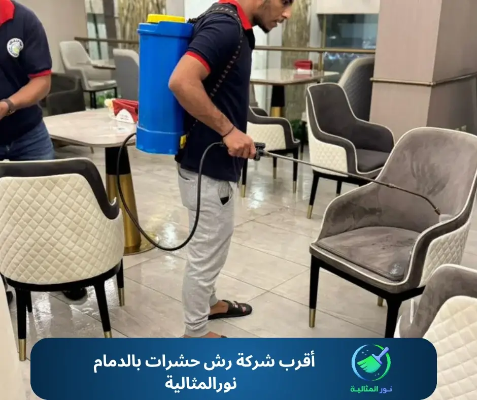 أقرب شركة رش حشرات بالدمام