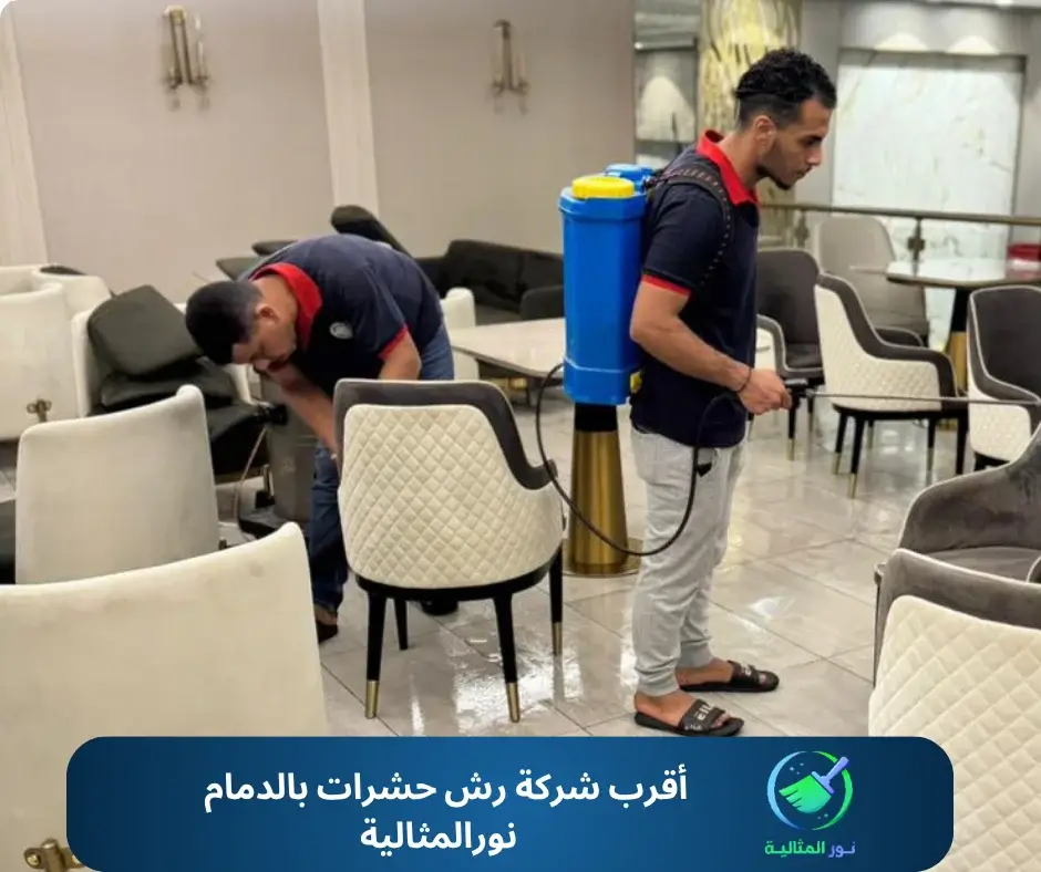أقرب شركة رش حشرات بالدمام