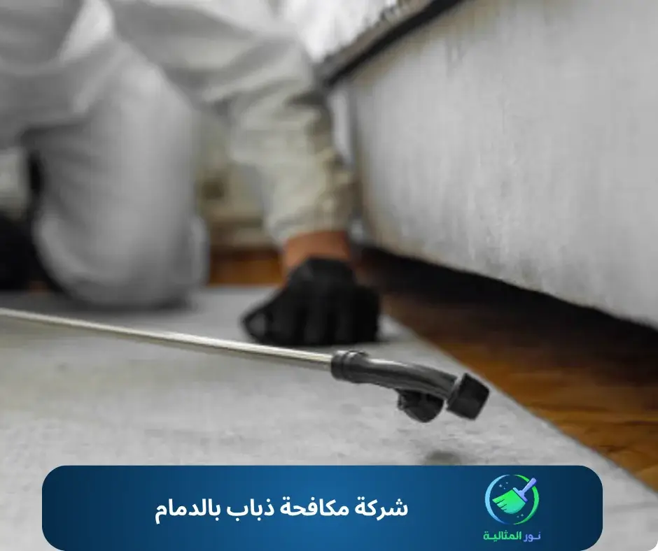 شركة مكافحة ذباب بالدمام