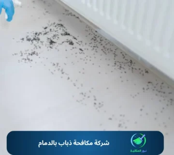 شركة مكافحة ذباب بالدمام