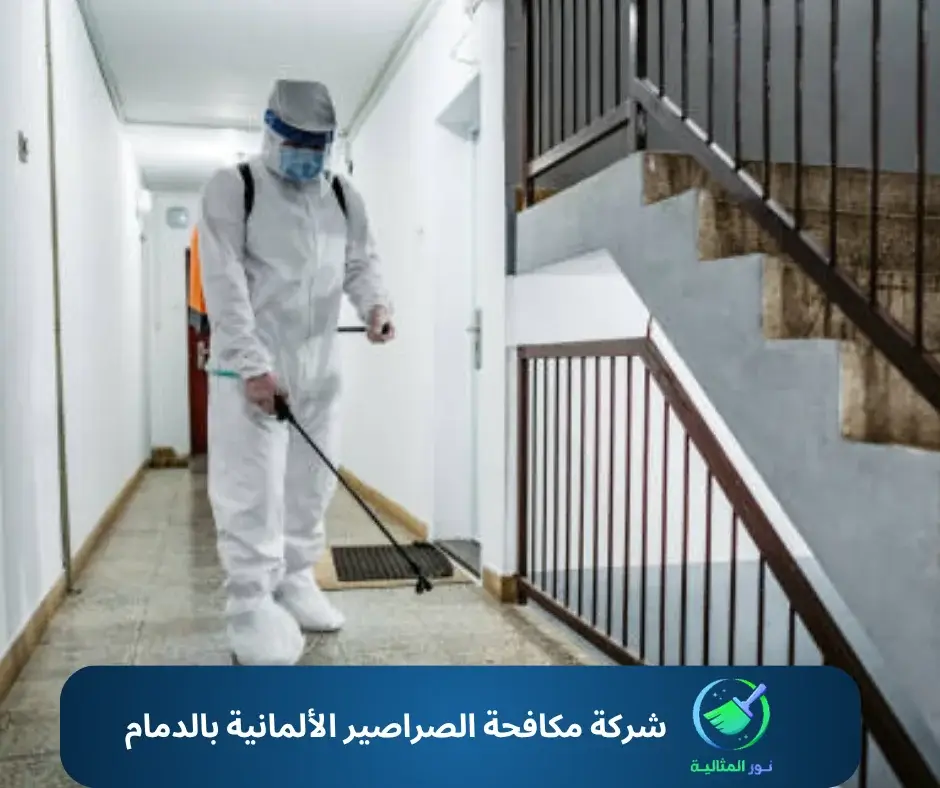 شركة مكافحة الصراصير الألمانية بالدمام