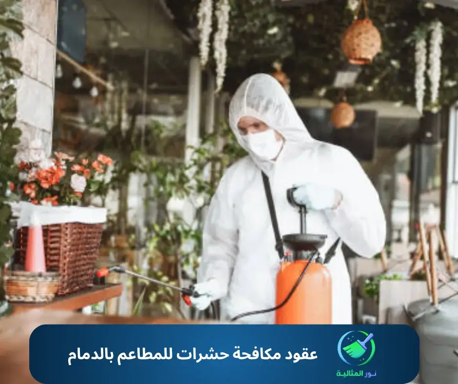 عقود مكافحة حشرات للمطاعم بالدمام