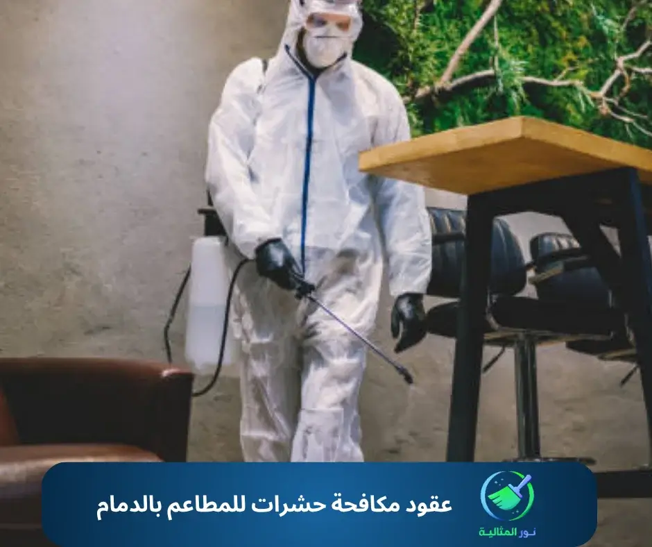 عقود مكافحة حشرات للمطاعم بالدمام