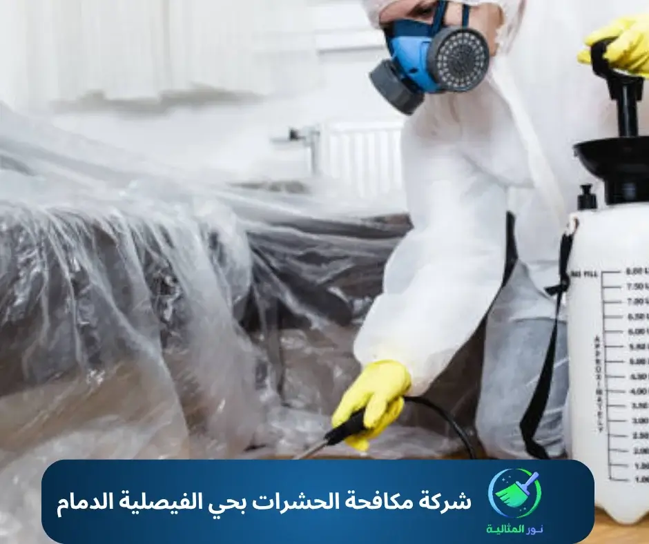 شركة مكافحة الحشرات بحي الفيصلية الدمام