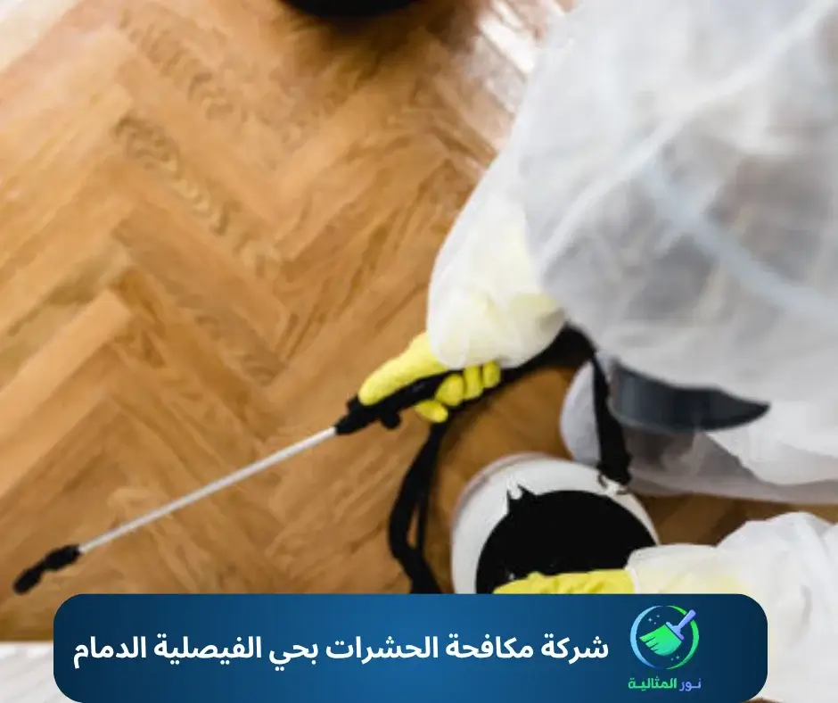 شركة مكافحة الحشرات بحي الفيصلية الدمام