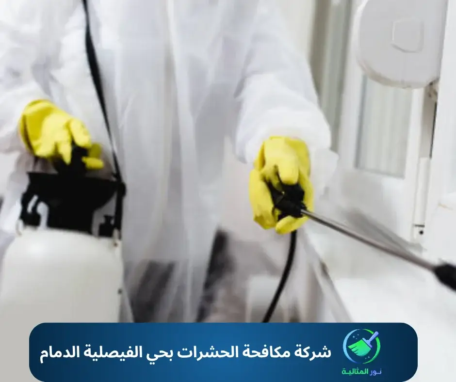 شركة مكافحة الحشرات بحي الفيصلية الدمام