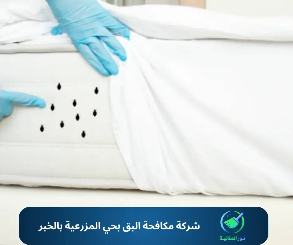 شركة مكافحة البق بحي المزرعية بالخبر