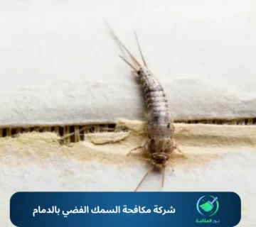 شركة مكافحة السمك الفضي بالدمام