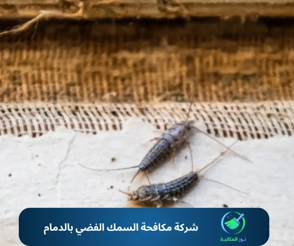 شركة مكافحة السمك الفضي بالدمام