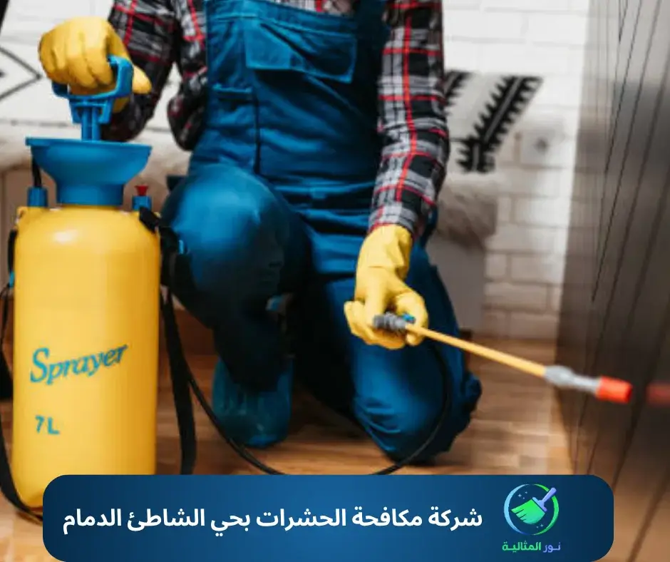 شركة مكافحة الحشرات بحي الشاطئ الدمام