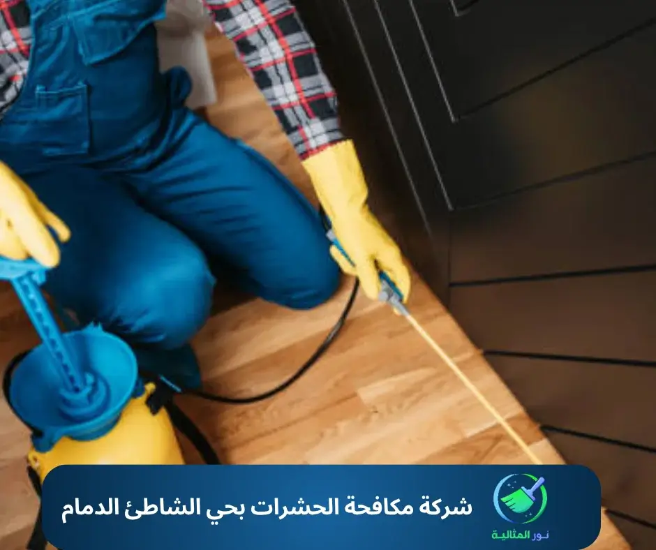 شركة مكافحة الحشرات بحي الشاطئ الدمام